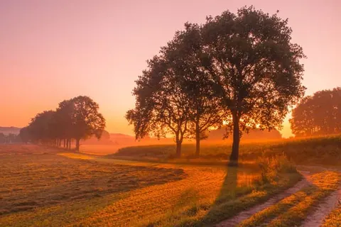 Van der Valk Hotel Cuijk - Nijmegen foto 22