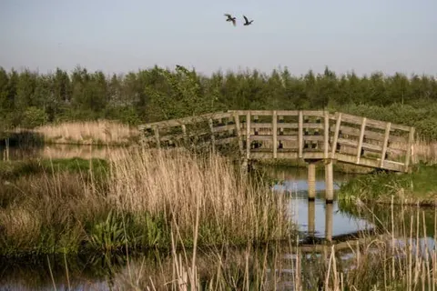 Bungalowpark It Wiid foto 12