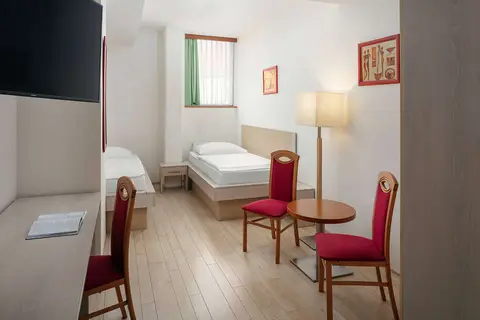 Ankora Hotel Prague in Praag, foto 2