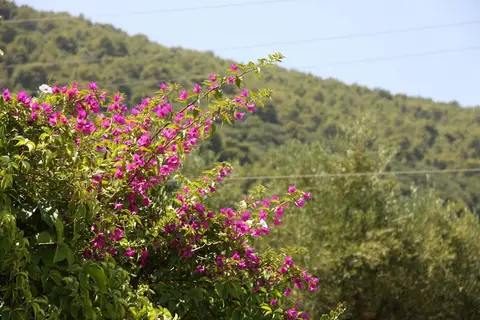 Rentaki Villas in Δημοτική Ενότητα Λαγανά — foto 13