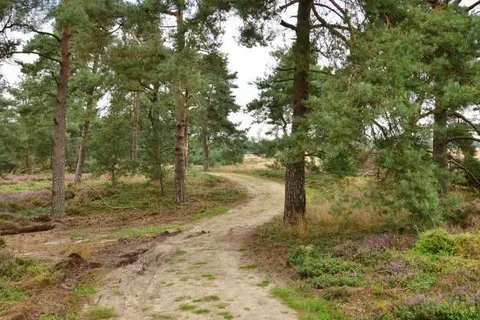 Landgoed De Uitkijk foto 29