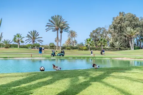 Hotel Tikida Golf Palace in Rabat — foto 8