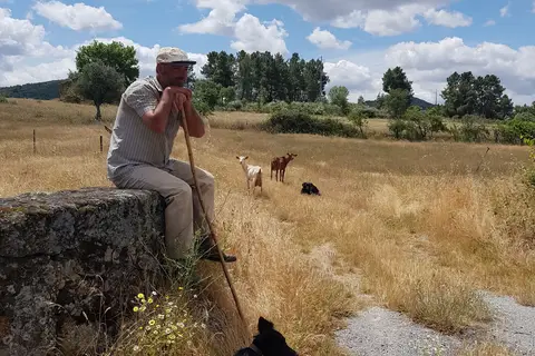 Onthaasten in het hart van Portugal in Martingança Gare — foto 14