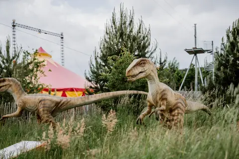 Ikuna Naturresort in Natternbach — foto 41