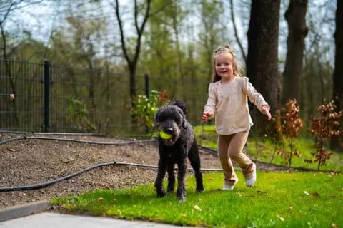 Vakantiepark De Rimboe en De Woeste Hoogte foto 9