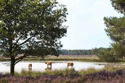 Best Western Hotel Nobis Asten foto 21