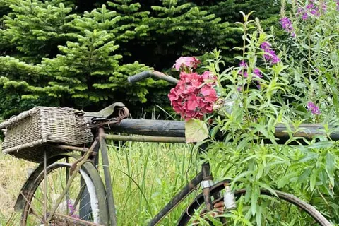 Landgoedhotel Villa Vennendal foto 45