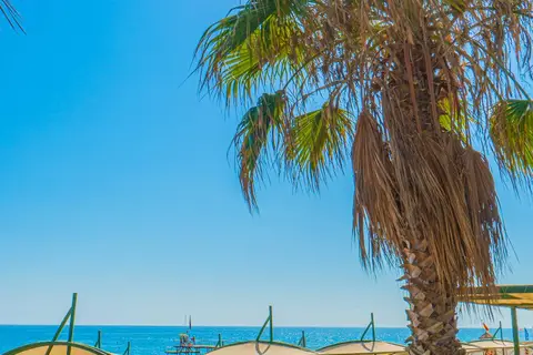 Grand Bahama Beach in Alaşehir — foto 20