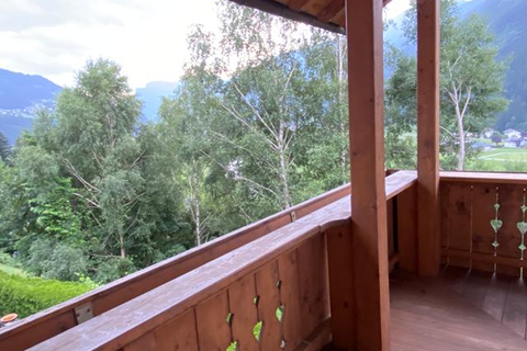 Chalet Mühlbachl foto 2