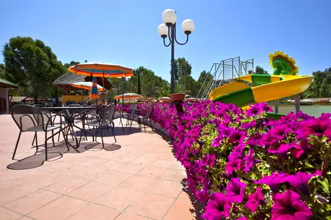 Free Time in Bibbona — foto 4