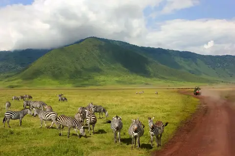 Tanzania Compleet in Tanzania — foto 8
