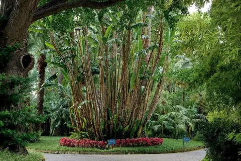 Parco Dei Principi in Sorrento