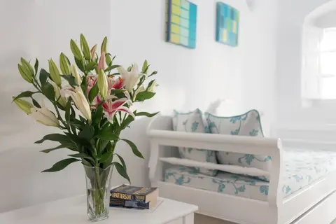 Casa Bianca in Δημοτική Ενότητα Θήρας — foto 13