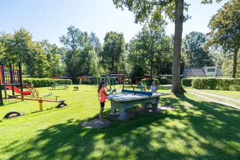 Camping Het Bosbad foto 4