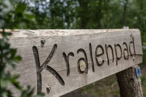 Vakantiepark Westerbergen in Echten — foto 31