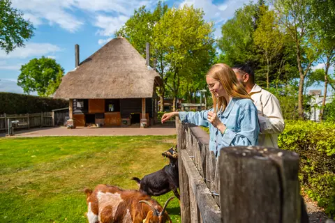De Wije Werelt in Otterlo, foto 6