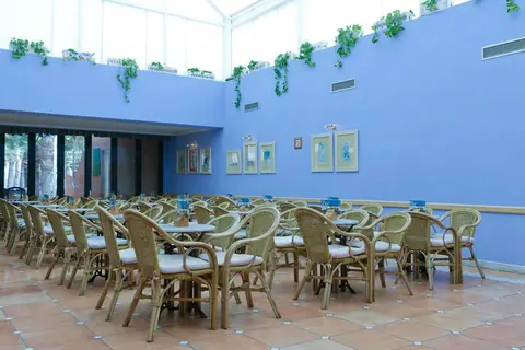 Best Roquetas in Roquetas de Mar — foto 23