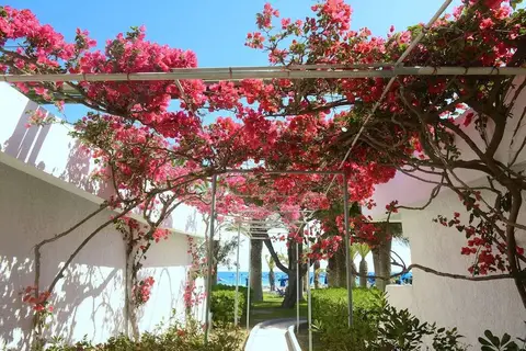 Blue Horizon in Ialysos, foto 15