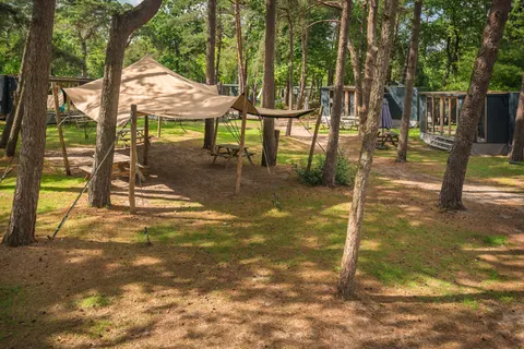 Bos Park Bilthoven foto 9