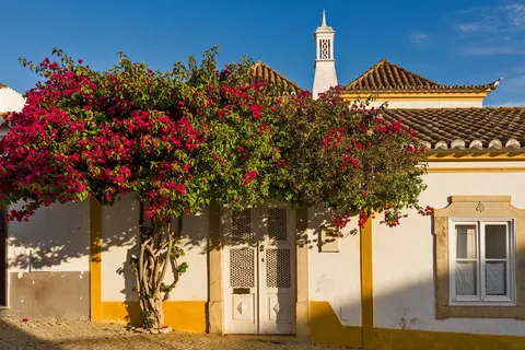 Algarve, Alentejo en Lissabon foto 6
