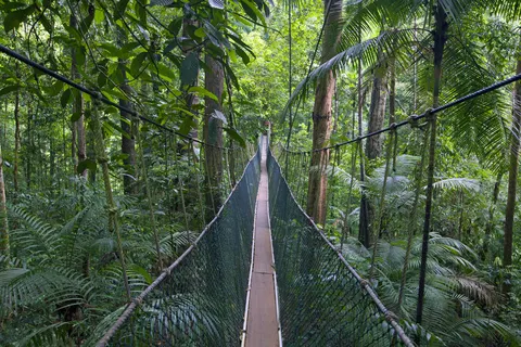 Perfect Match Singapore & Malaysia in Singapore — foto 2