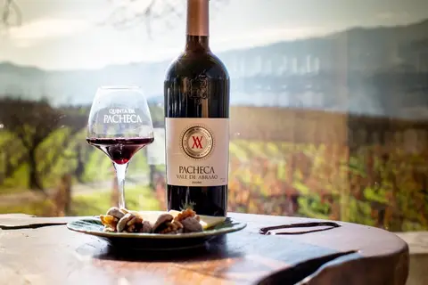 Quinta da Pacheca in Lamego, foto 11