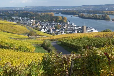 Hotel Felsenkeller in Rüdesheim am Rhein — foto 29
