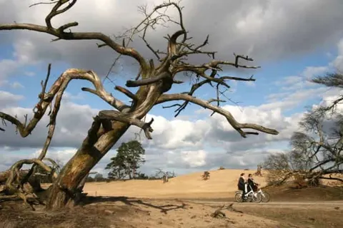 Hotel &ampapos;t Witte Hoes foto 15