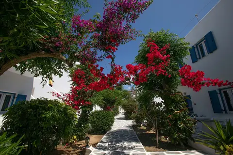 Hotel Acrogiali in Πλατύς Γιαλός — foto 11