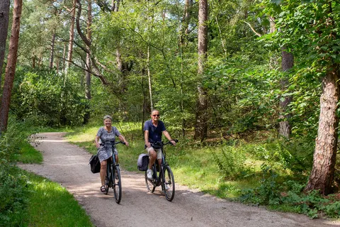 Camping Rcn Het Grote Bos foto 19