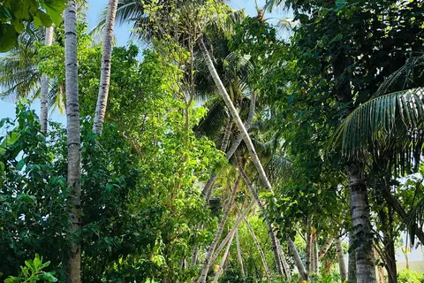 Jumeirah Olhahali Island in Noord Male Atol — foto 7