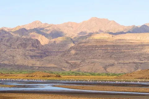 16 daagse safari Verrassend Tanzania & Zanzibar foto 2