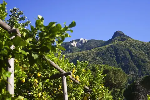 Hotel La Pergola & Villa Flavio in Casamicciola Terme — foto 20