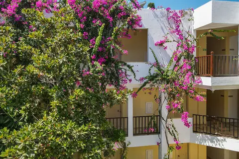 Natur Garden Hotel in Bodrum — foto 16