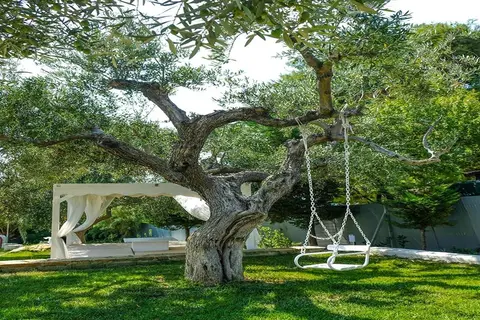 Acrotel Athena Villas in Δημοτική Ενότητα Σιθωνίας — foto 5