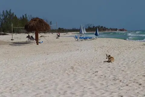 Cocos Cabanas in Playa del Carmen — foto 16