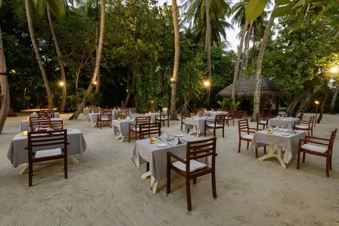 Diamonds Thudufushi Maldives Resort & Spa in Thudufushi, foto 12