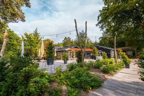 Vakantiepark De Wiltzangh in Ruinen — foto 9