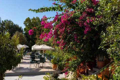 allsun Hotel Irene Palace in Kolymbia, foto 15