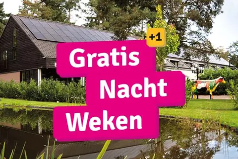 Hotel Bosrijk Ruighenrode in Lochem