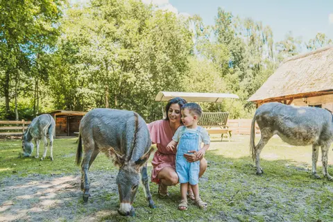 Dierenbos in Vinkel — foto 3