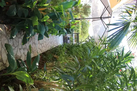 Villa Nefeli in Άγιος Γεώργιος — foto 9