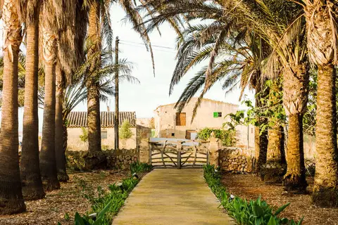 Can Canals in Campos — foto 10