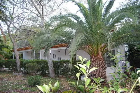 Soller Garden in Port de Sóller — foto 6
