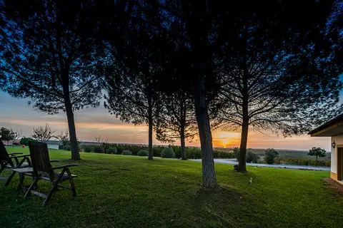 Hotel Rural Vila Gale Alentejo Vineyards in Beja — foto 16