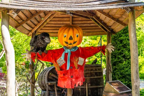 Vakantiepark Enkhuizer Strand foto 15