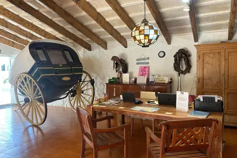 Matchani Gran in Maó — foto 25