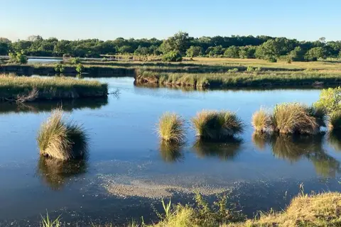 Camping Bassin D Arcachon in Chenal du Teychan — foto 18