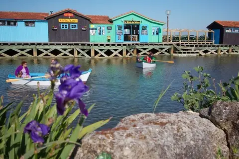 Les Pins D Oléron in Le Grand-Village-Plage, foto 16