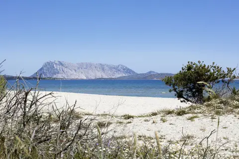 Club Hotel Li Suari in San Teodoro — foto 27